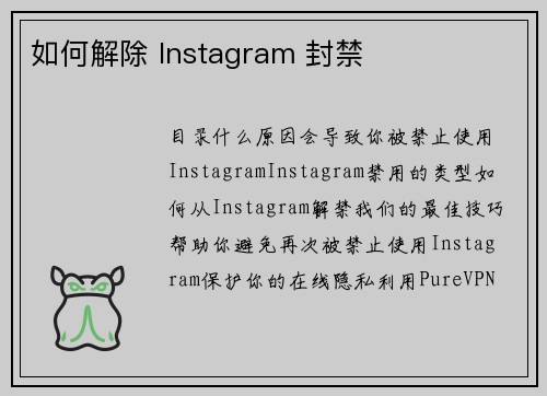 如何解除 Instagram 封禁 