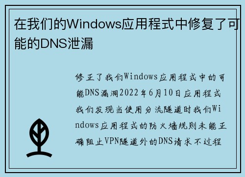 在我们的Windows应用程式中修复了可能的DNS泄漏 